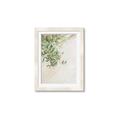 Picture of Few Olive Tree Leaves _GroupedProduct_Rectangle_Portrait_Photography _GroupedProduct_Rectangle_Portrait_Framed_Matted_