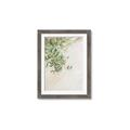 Picture of Few Olive Tree Leaves _GroupedProduct_Rectangle_Portrait_Photography _GroupedProduct_Rectangle_Portrait_Framed_Matted_