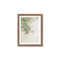 Picture of Few Olive Tree Leaves _GroupedProduct_Rectangle_Portrait_Photography _GroupedProduct_Rectangle_Portrait_Framed_Matted_