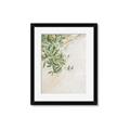 Picture of Few Olive Tree Leaves _GroupedProduct_Rectangle_Portrait_Photography _GroupedProduct_Rectangle_Portrait_Framed_Matted_