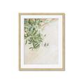 Picture of Few Olive Tree Leaves _GroupedProduct_Rectangle_Portrait_Photography _GroupedProduct_Rectangle_Portrait_Framed_Matted_
