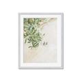 Picture of Few Olive Tree Leaves _GroupedProduct_Rectangle_Portrait_Photography _GroupedProduct_Rectangle_Portrait_Framed_Matted_