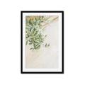 Picture of Few Olive Tree Leaves _GroupedProduct_Rectangle_Portrait_Photography _GroupedProduct_Rectangle_Portrait_Framed_Matted_