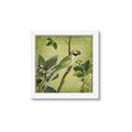 Picture of Vintage Tropical Birds I _GroupedProduct_Square_Framed_Matted_