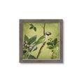 Picture of Vintage Tropical Birds I _GroupedProduct_Square_Framed_Matted_