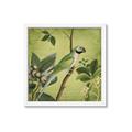 Picture of Vintage Tropical Birds I _GroupedProduct_Square_Framed_Matted_