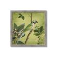 Picture of Vintage Tropical Birds I _GroupedProduct_Square_Framed_Matted_
