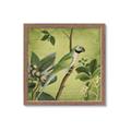 Picture of Vintage Tropical Birds I _GroupedProduct_Square_Framed_Matted_