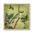 Picture of Vintage Tropical Birds I _GroupedProduct_Square_Framed_Matted_