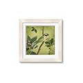 Picture of Vintage Tropical Birds I _GroupedProduct_Square_Framed_Matted_