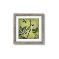 Picture of Vintage Tropical Birds I _GroupedProduct_Square_Framed_Matted_