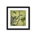 Picture of Vintage Tropical Birds I _GroupedProduct_Square_Framed_Matted_