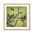 Picture of Vintage Tropical Birds I _GroupedProduct_Square_Framed_Matted_
