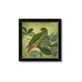 Picture of Vintage Tropical Birds II _GroupedProduct_Square_Framed_Matted_