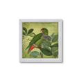 Picture of Vintage Tropical Birds II _GroupedProduct_Square_Framed_Matted_