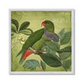 Picture of Vintage Tropical Birds II _GroupedProduct_Square_Framed_Matted_