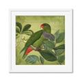 Picture of Vintage Tropical Birds II _GroupedProduct_Square_Framed_Matted_