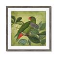 Picture of Vintage Tropical Birds II _GroupedProduct_Square_Framed_Matted_
