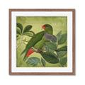 Picture of Vintage Tropical Birds II _GroupedProduct_Square_Framed_Matted_