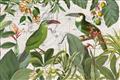Picture of Green Nostalgic Tropical Birds _GroupedProduct_Rectangle_Landscape_Unframed_Print_Only_