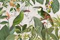 Picture of Green Nostalgic Tropical Birds _GroupedProduct_Rectangle_Landscape_Unframed_Print_Only_