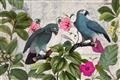 Picture of Blue Nostalgic Tropical Parrot Birds _GroupedProduct_Rectangle_Landscape_Unframed_Print_Only_