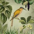 Picture of Yellow Nostalgic Tropical Birds _GroupedProduct_Square_Unframed_Print_Only_