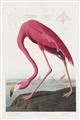 Picture of Vintage Pink Flamingo _GroupedProduct_Rectangle_Portrait_Unframed_Print_Only_