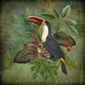 Picture of Tropical Paradise Toucan Bird _GroupedProduct_Square_Unframed_Print_Only_