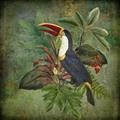 Picture of Tropical Paradise Toucan Bird _GroupedProduct_Square_Unframed_Print_Only_