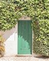 Picture of Green Door with Lush Leaves _GroupedProduct_Rectangle_Portrait_Photography _GroupedProduct_Rectangle_Portrait_Unframed_Print_Only_