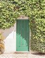 Picture of Green Door with Lush Leaves _GroupedProduct_Rectangle_Portrait_Photography _GroupedProduct_Rectangle_Portrait_Unframed_Print_Only_