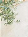Picture of Few Olive Tree Leaves _GroupedProduct_Rectangle_Portrait_Photography _GroupedProduct_Rectangle_Portrait_Unframed_Print_Only_