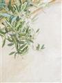 Picture of Few Olive Tree Leaves _GroupedProduct_Rectangle_Portrait_Photography _GroupedProduct_Rectangle_Portrait_Unframed_Print_Only_
