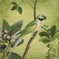 Picture of Vintage Tropical Birds I _GroupedProduct_Square_Unframed_Print_Only_