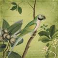 Picture of Vintage Tropical Birds I _GroupedProduct_Square_Unframed_Print_Only_