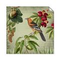 Picture of Tangerine Vintage Bird _GroupedProduct_Square_Unframed_Print_Only_
