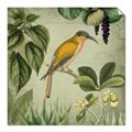 Picture of Yellow Nostalgic Tropical Birds _GroupedProduct_Square_Unframed_Print_Only_