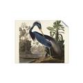 Picture of Vintage Heron Bird _GroupedProduct_Rectangle_Landscape_Unframed_Print_Only_