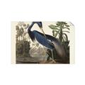 Picture of Vintage Heron Bird _GroupedProduct_Rectangle_Landscape_Unframed_Print_Only_