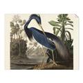 Picture of Vintage Heron Bird _GroupedProduct_Rectangle_Landscape_Unframed_Print_Only_