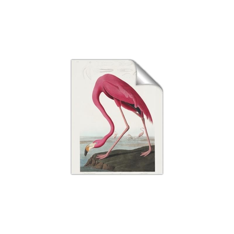 Picture of Vintage Pink Flamingo _GroupedProduct_Rectangle_Portrait_Unframed_Print_Only_