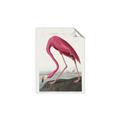 Picture of Vintage Pink Flamingo _GroupedProduct_Rectangle_Portrait_Unframed_Print_Only_