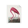 Picture of Vintage Pink Flamingo _GroupedProduct_Rectangle_Portrait_Unframed_Print_Only_