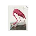 Picture of Vintage Pink Flamingo _GroupedProduct_Rectangle_Portrait_Unframed_Print_Only_