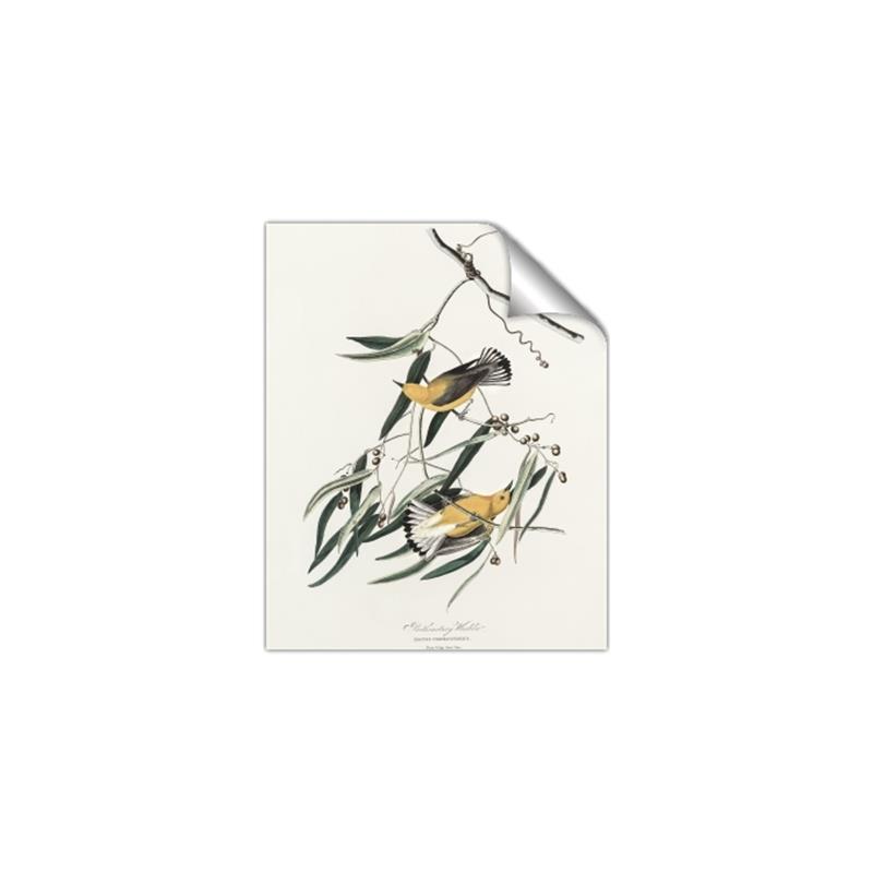 Picture of Two Yellow Warbler Birds _GroupedProduct_Rectangle_Portrait_Unframed_Print_Only_