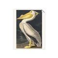 Picture of Vintage White Pelican _GroupedProduct_Rectangle_Portrait_Unframed_Print_Only_