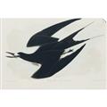 Picture of Vintage Black Sooty Tern _GroupedProduct_Rectangle_Landscape_Unframed_Print_Only_