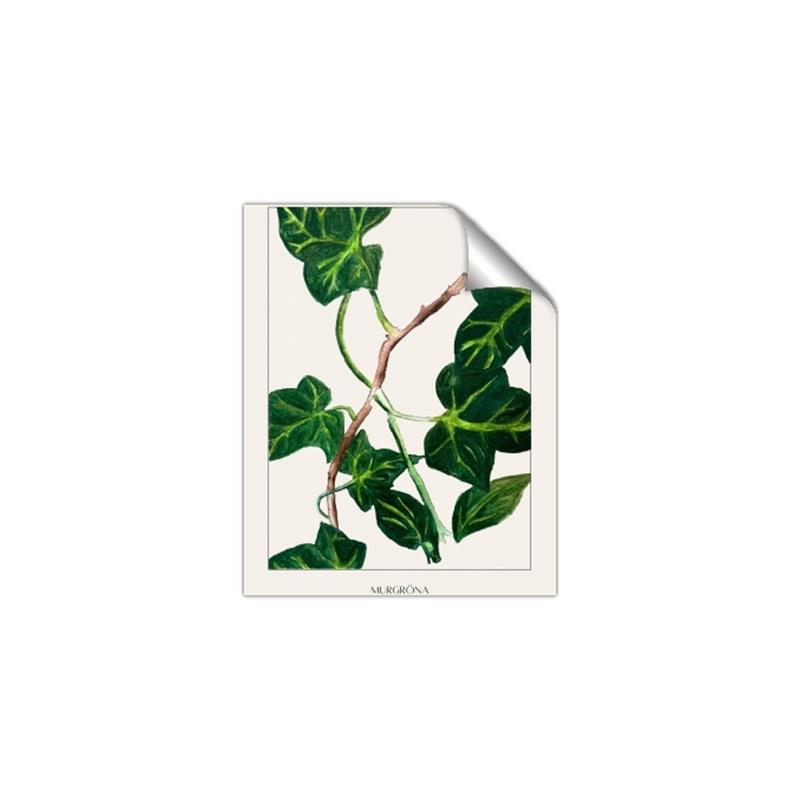 Picture of Nostalgic Green Murgrona Leaves _GroupedProduct_Rectangle_Portrait_Unframed_Print_Only_