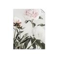 Picture of Romantic Blur Peony V _GroupedProduct_Rectangle_Portrait_Photography _GroupedProduct_Rectangle_Portrait_Unframed_Print_Only_